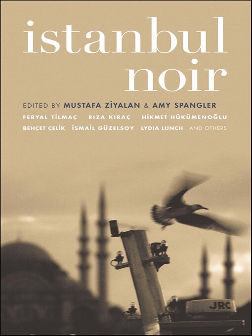 Cover image for Istanbul Noir